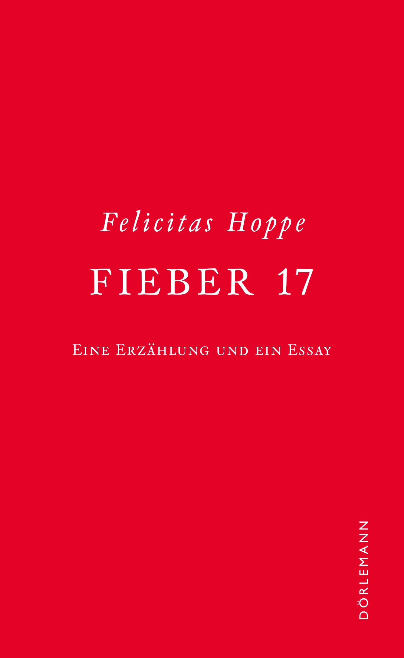 Vorderes Coverbild Fieber 17