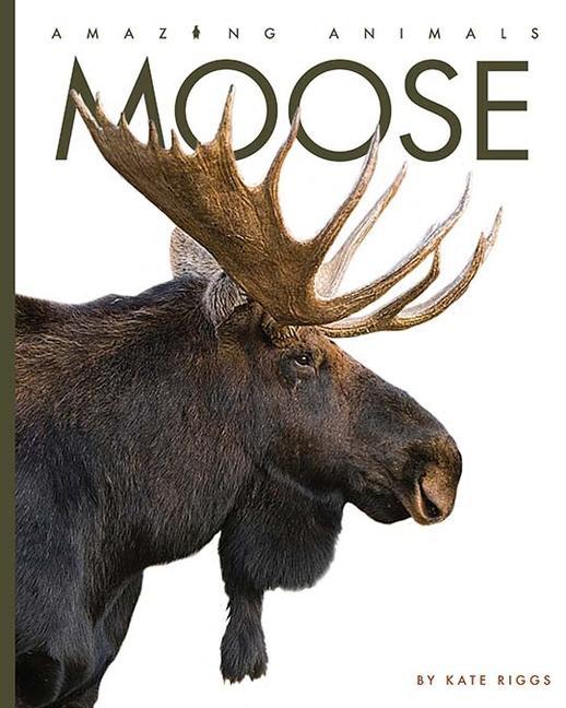 Vorderes Coverbild Moose