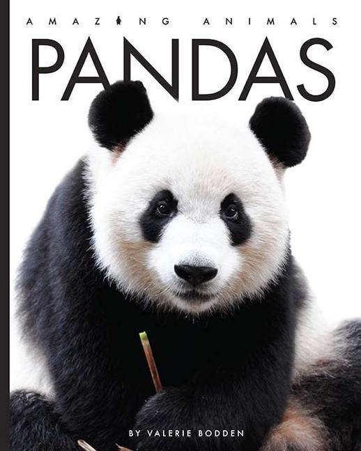 Vorderes Coverbild Pandas
