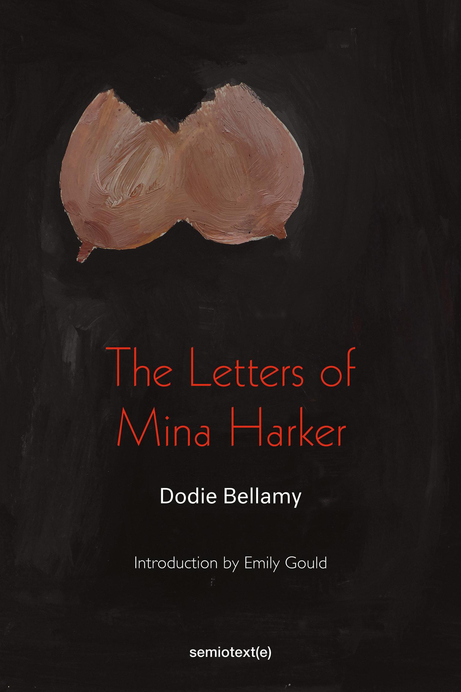 Vorderes Coverbild The Letters of Mina Harker