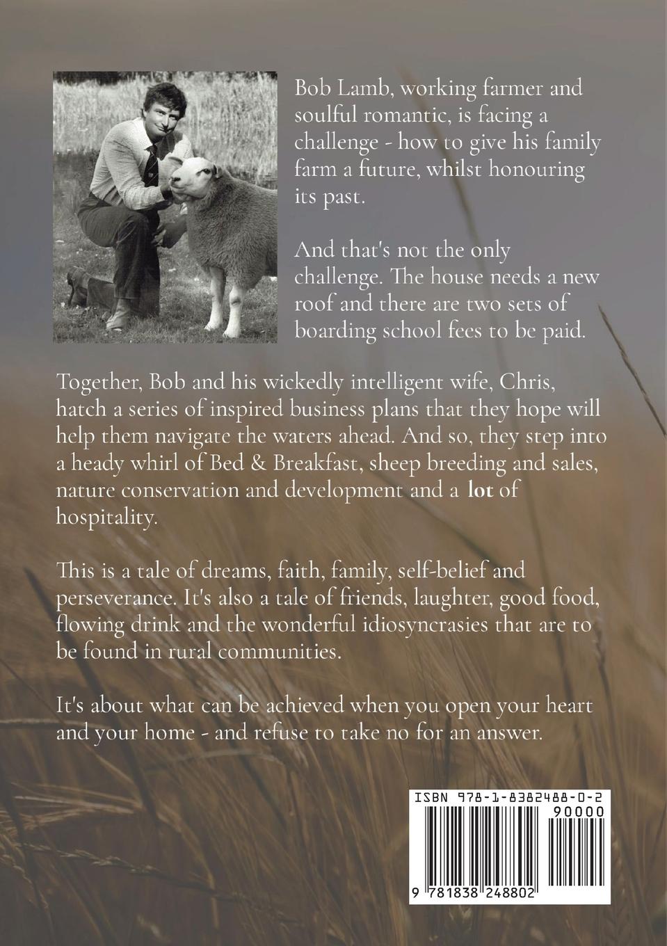 Rückseitencover FACING THE WIND