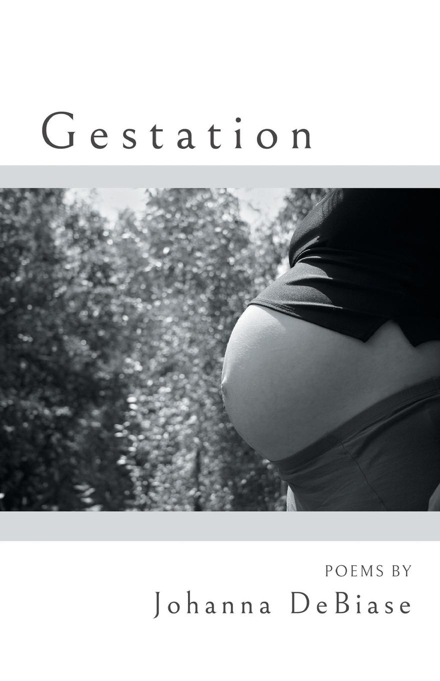 Vorderes Coverbild Gestation