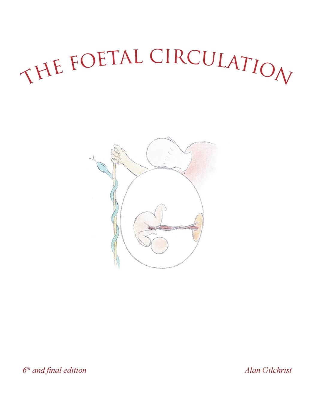 Vorderes Coverbild The Foetal Circulation