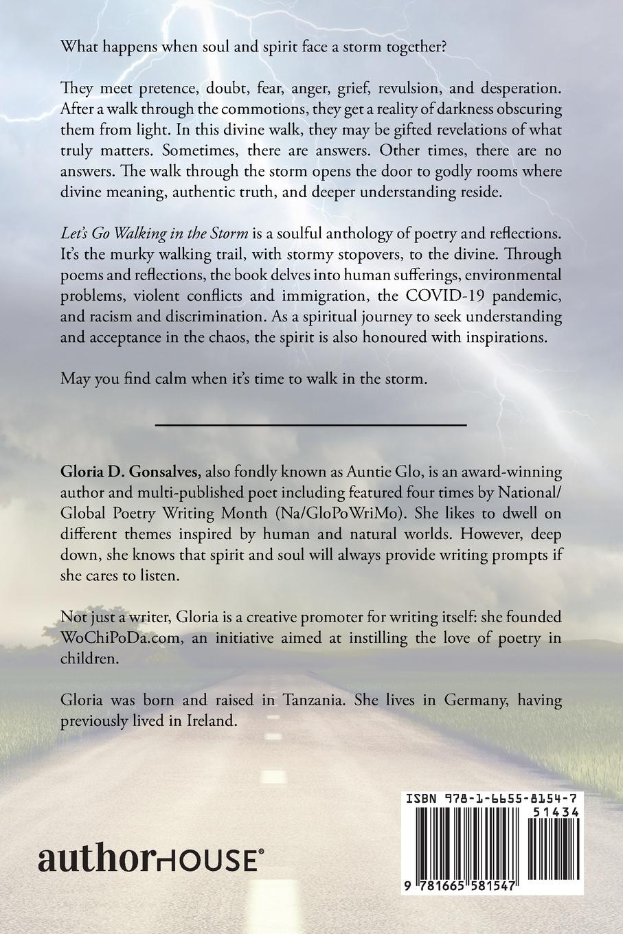 Rückseitencover Let's Go Walking in the Storm