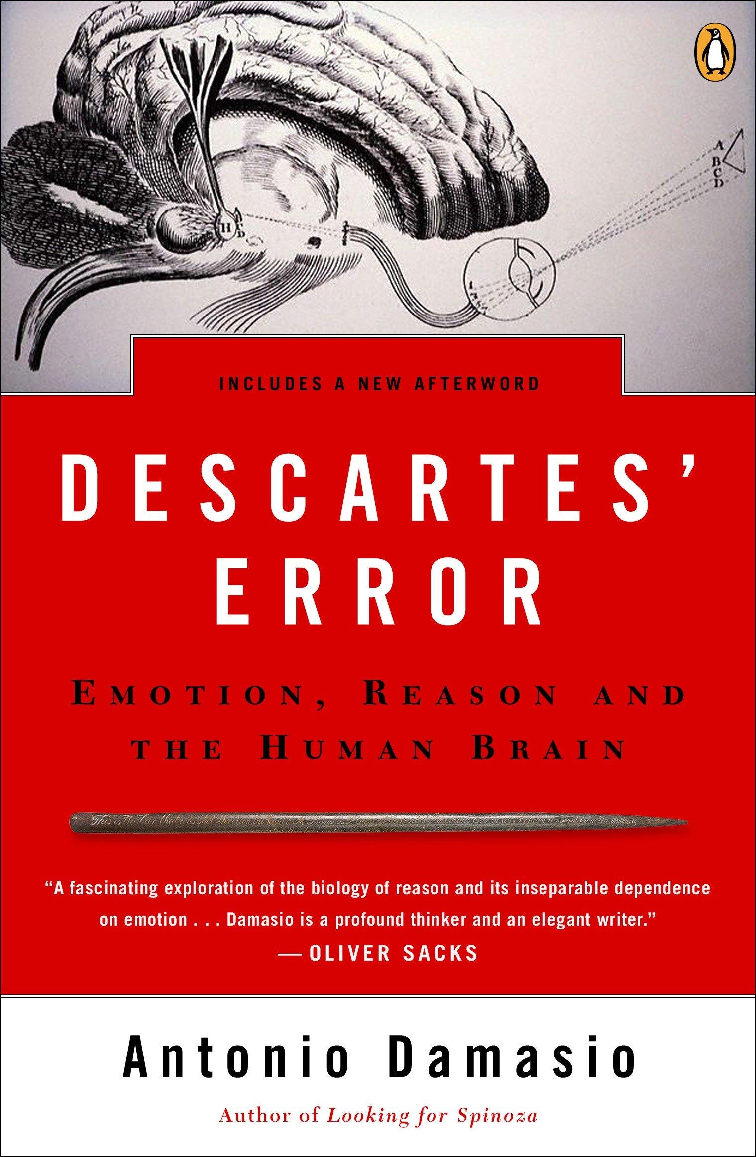 Vorderes Coverbild Descartes' Error