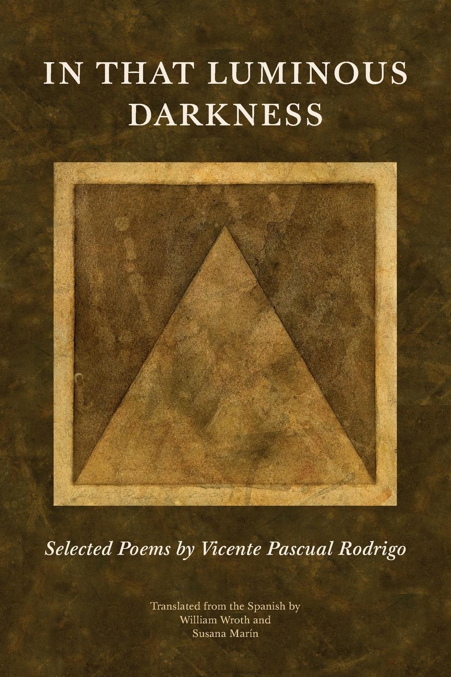 Vorderes Coverbild In That Luminous Darkness