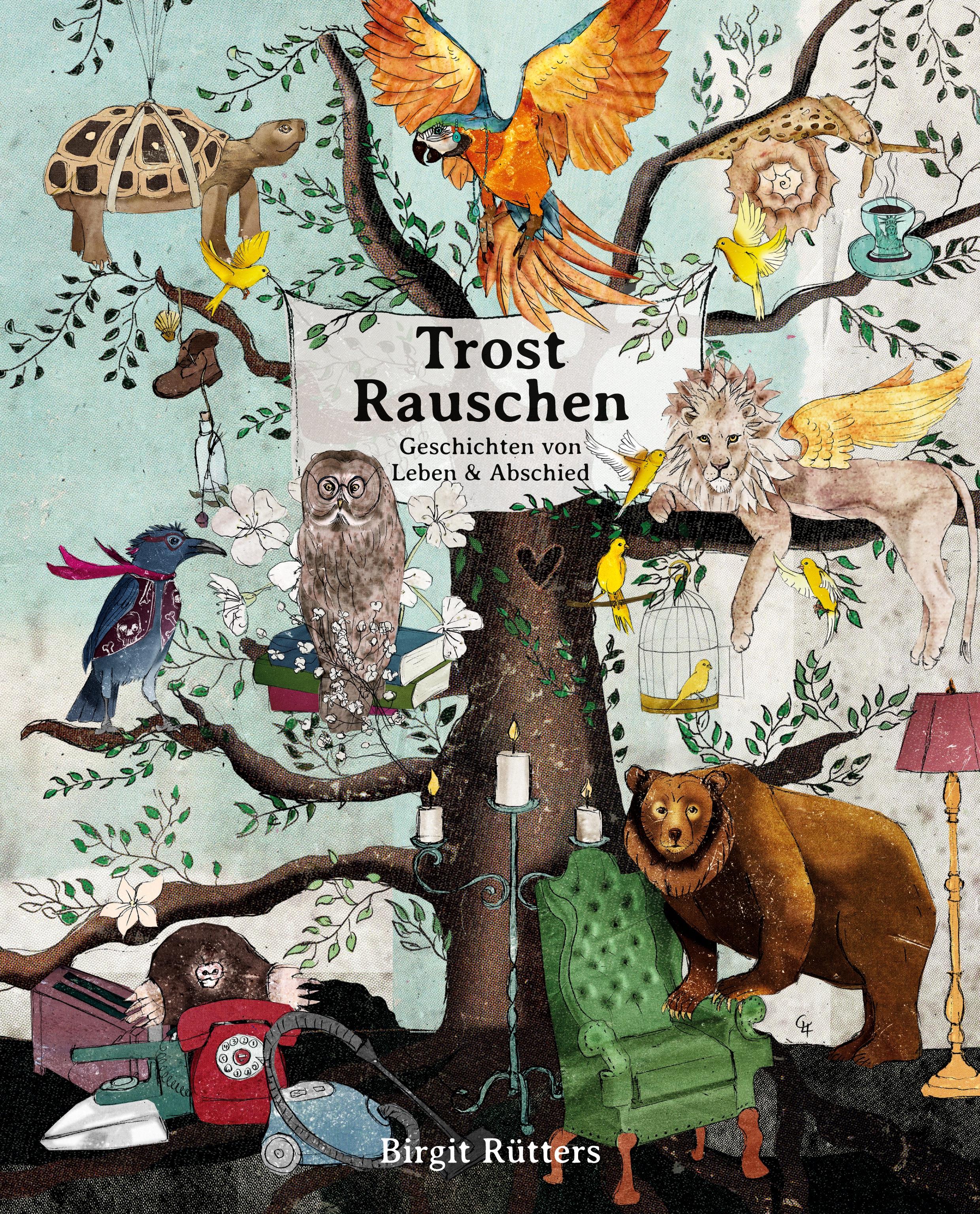 Vorderes Coverbild TrostRauschen