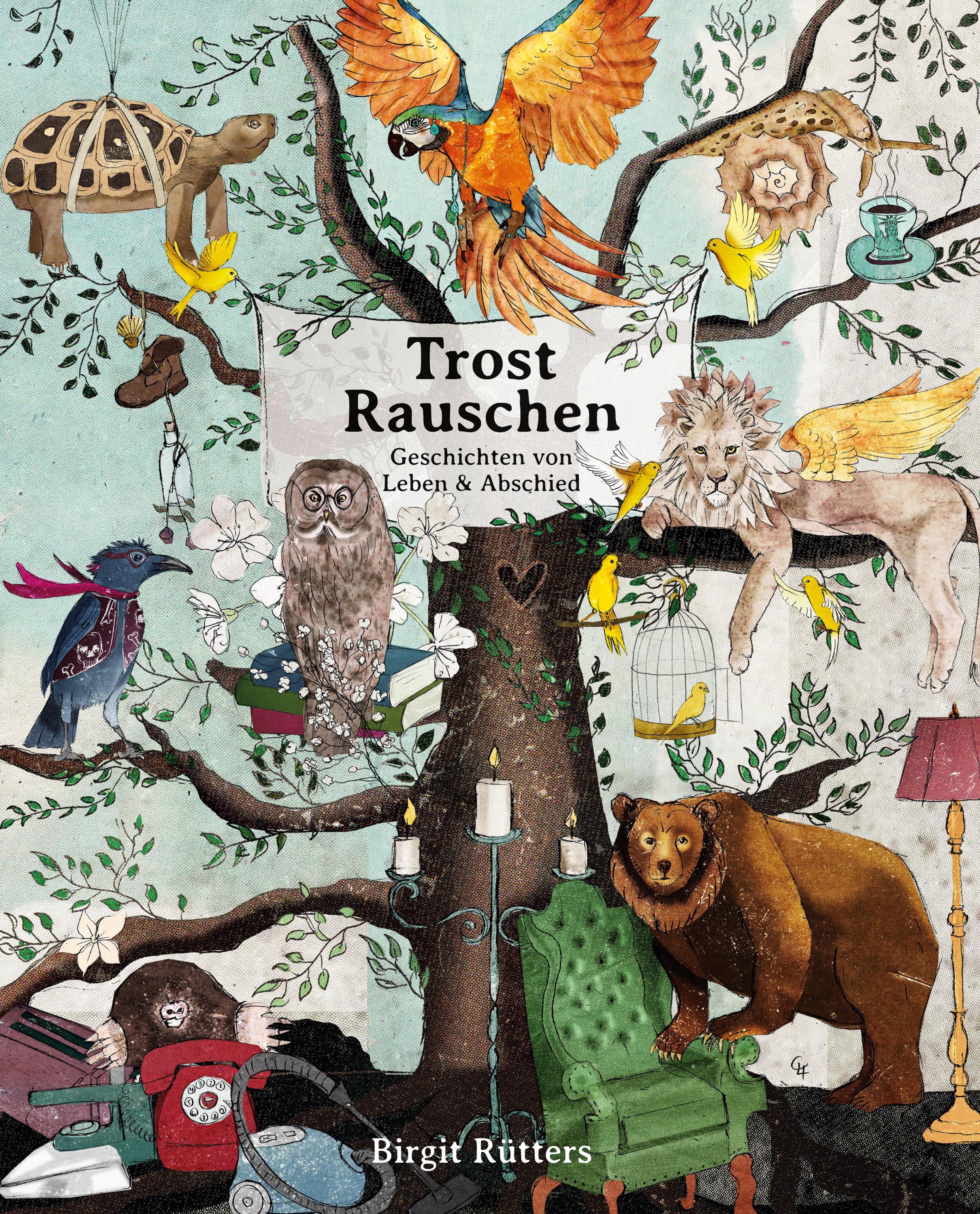 Vorderes Coverbild TrostRauschen