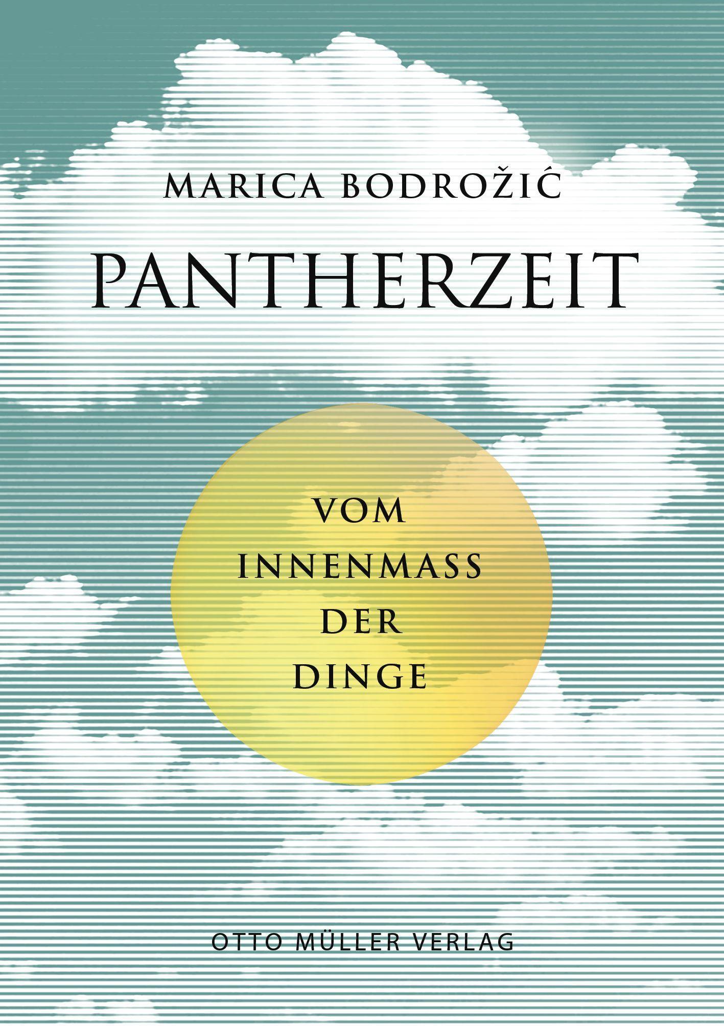 Vorderes Coverbild Pantherzeit