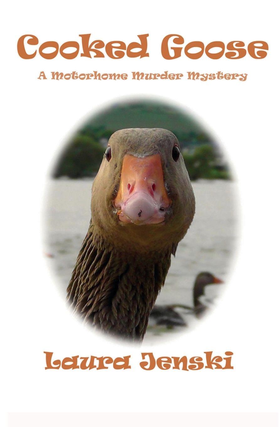 Vorderes Coverbild Cooked Goose