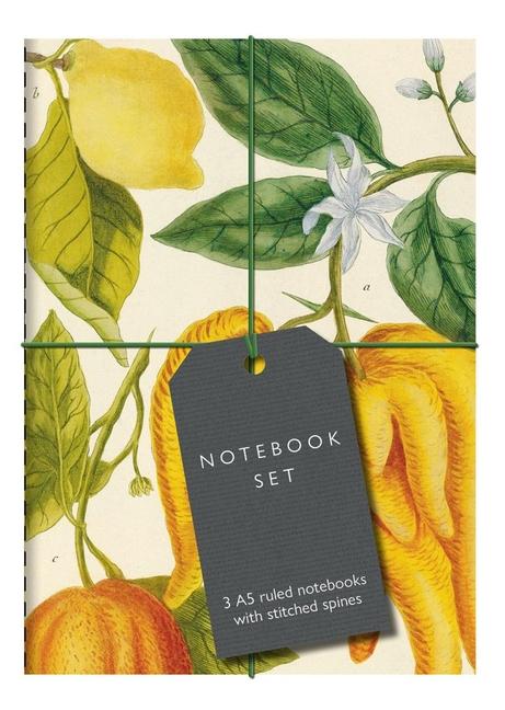 Vorderes Coverbild Botanical Art Notebook Set - Lemon, Chillis and Apples