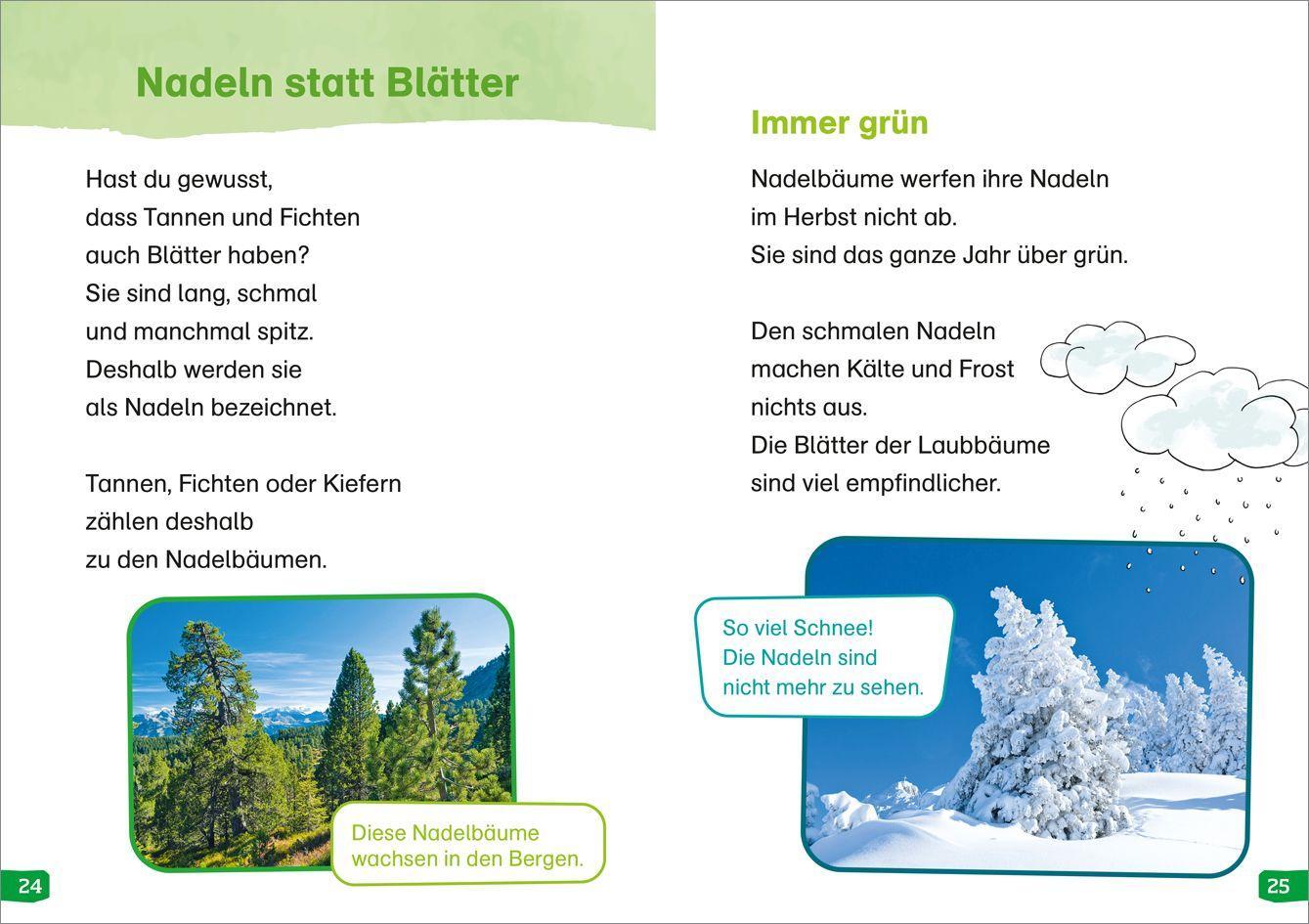 Beispielinhalt (Bild) WAS IST WAS Erstes Lesen easy! Band 1. Entdecke die Bäume