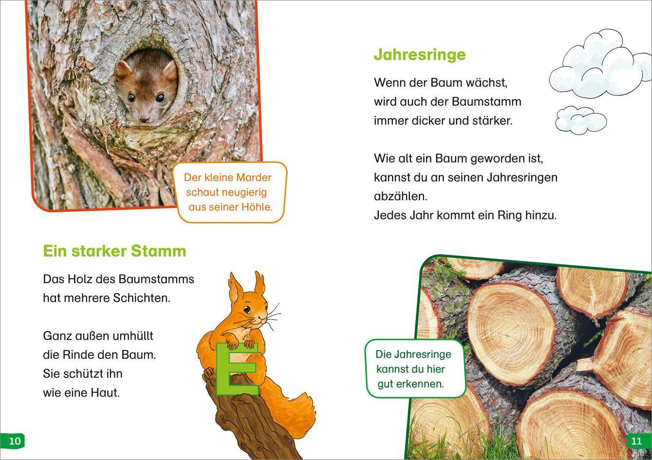 Beispielinhalt (Bild) WAS IST WAS Erstes Lesen easy! Band 1. Entdecke die Bäume