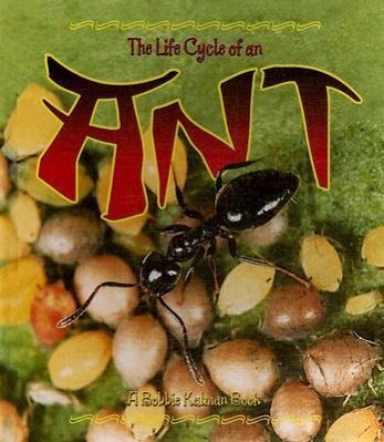 Vorderes Coverbild The Life Cycle of an Ant