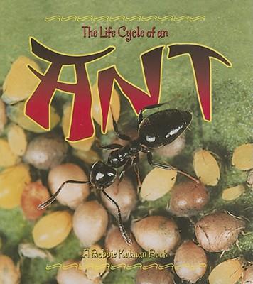 Vorderes Coverbild The Life Cycle of an Ant