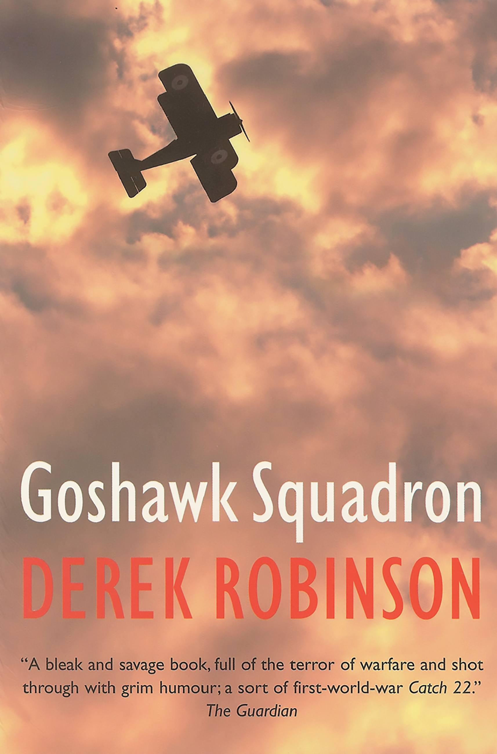 Vorderes Coverbild Goshawk Squadron