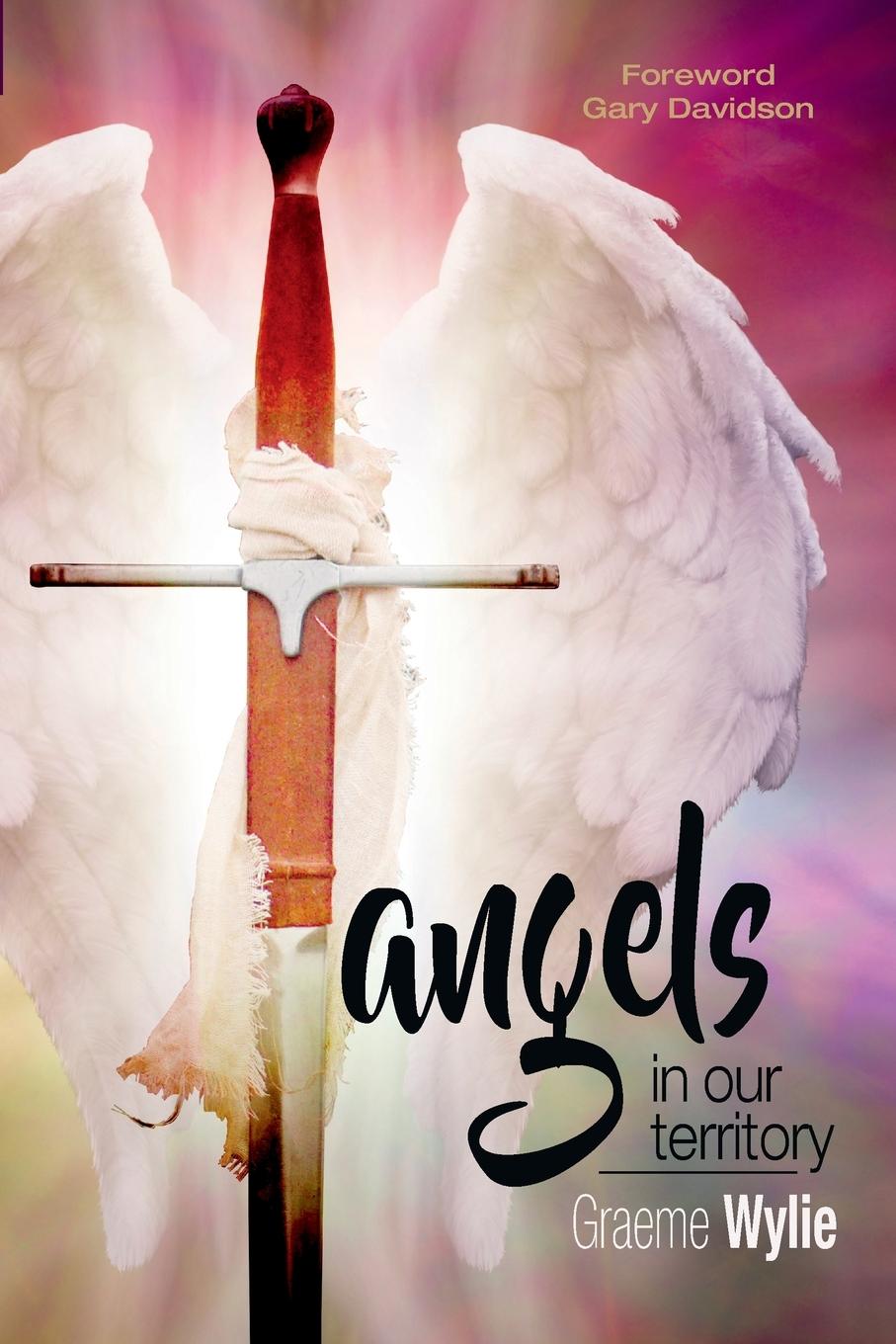 Vorderes Coverbild ANGELS IN OUR TERRITORY