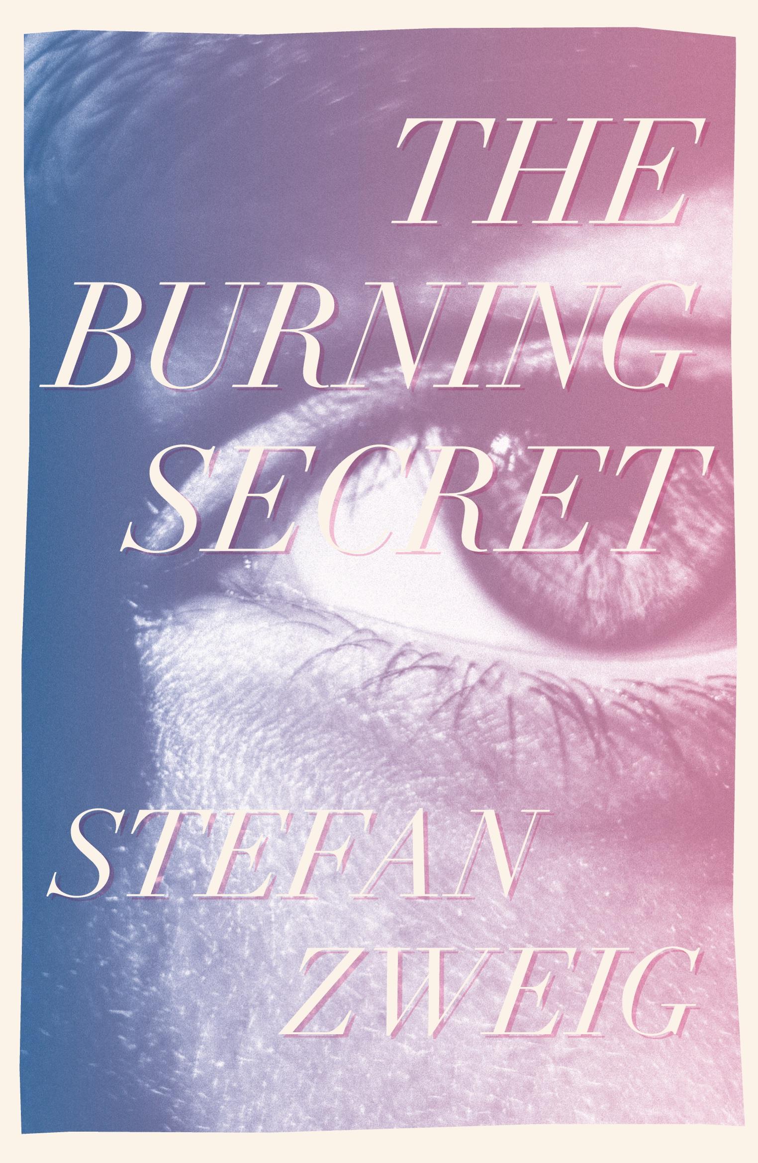 Vorderes Coverbild The Burning Secret