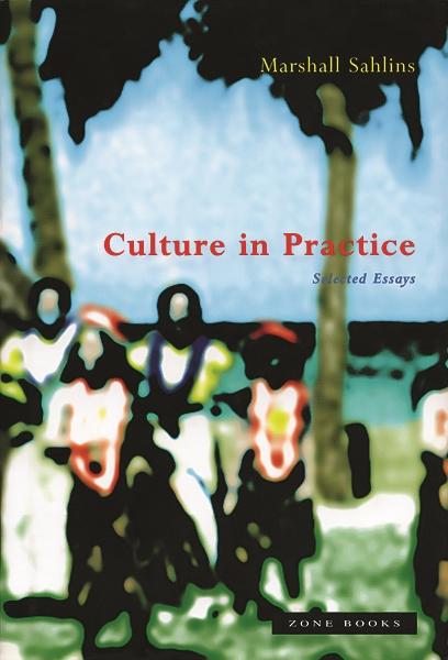 Vorderes Coverbild Culture in Practice