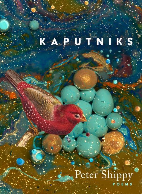 Vorderes Coverbild Kaputniks