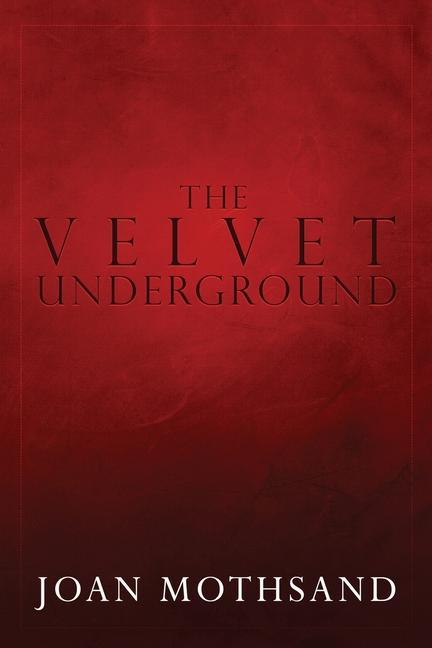 Vorderes Coverbild The Velvet Underground