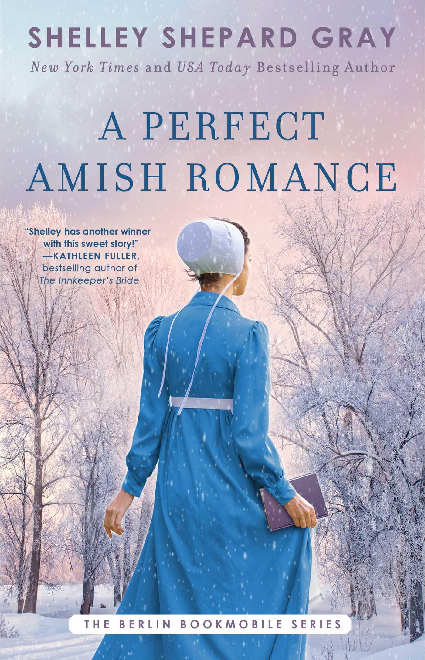 Vorderes Coverbild A Perfect Amish Romance