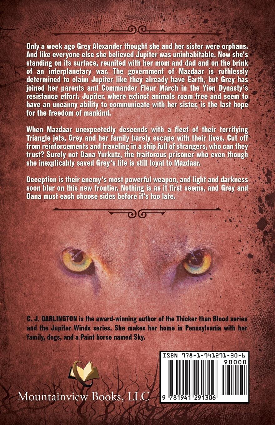 Rückseitencover Jupiter Storm