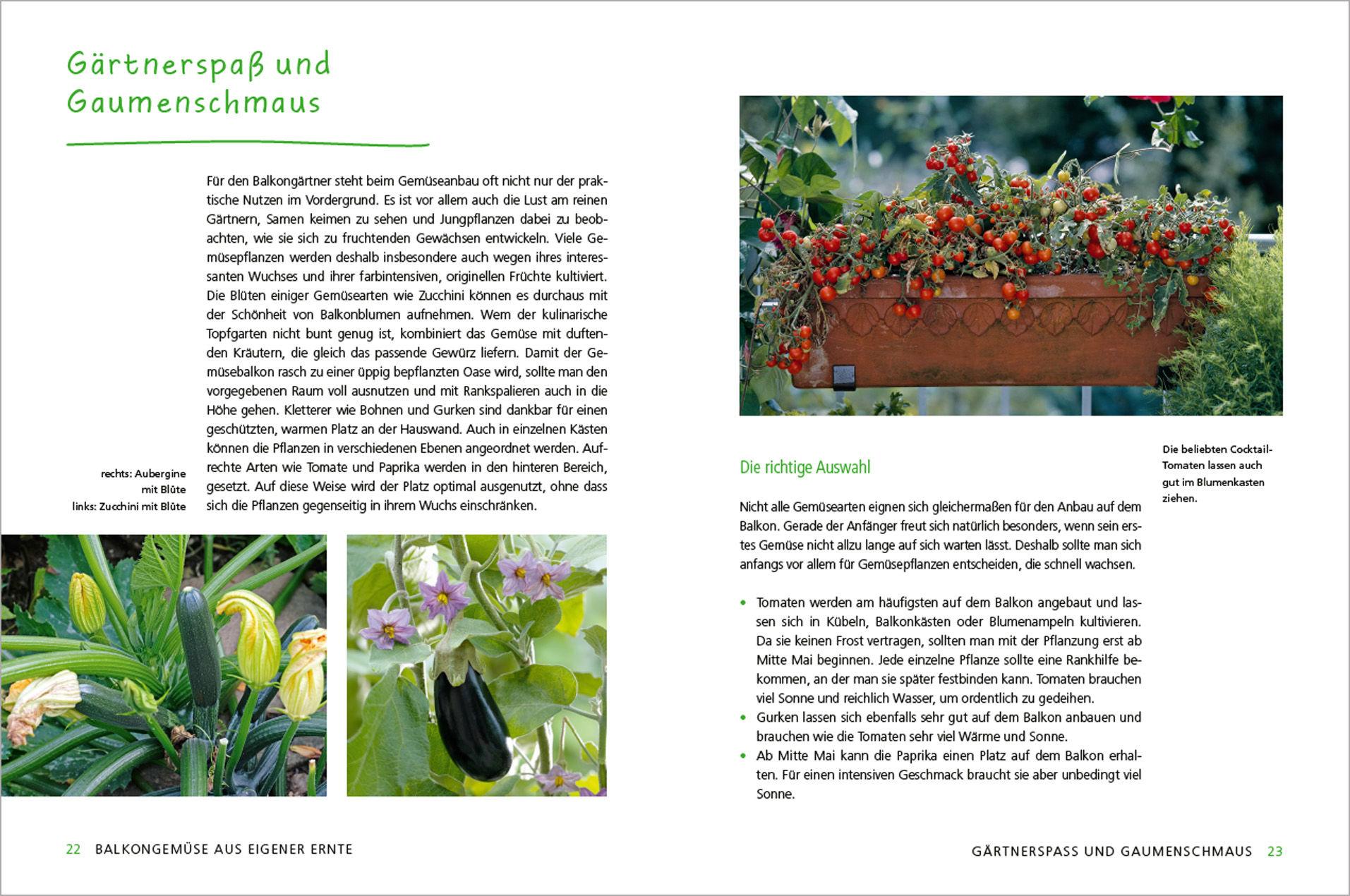 Beispielinhalt (Bild) Alles Bio vom Balkon. Obst, Gemüse und Kräuter selber ziehen.