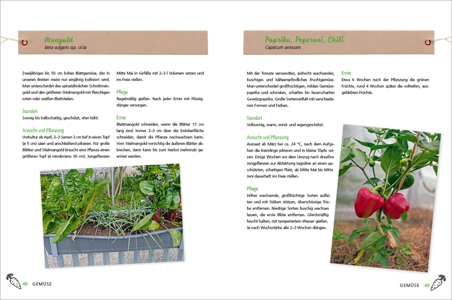 Beispielinhalt (Bild) Alles Bio vom Balkon. Obst, Gemüse und Kräuter selber ziehen.