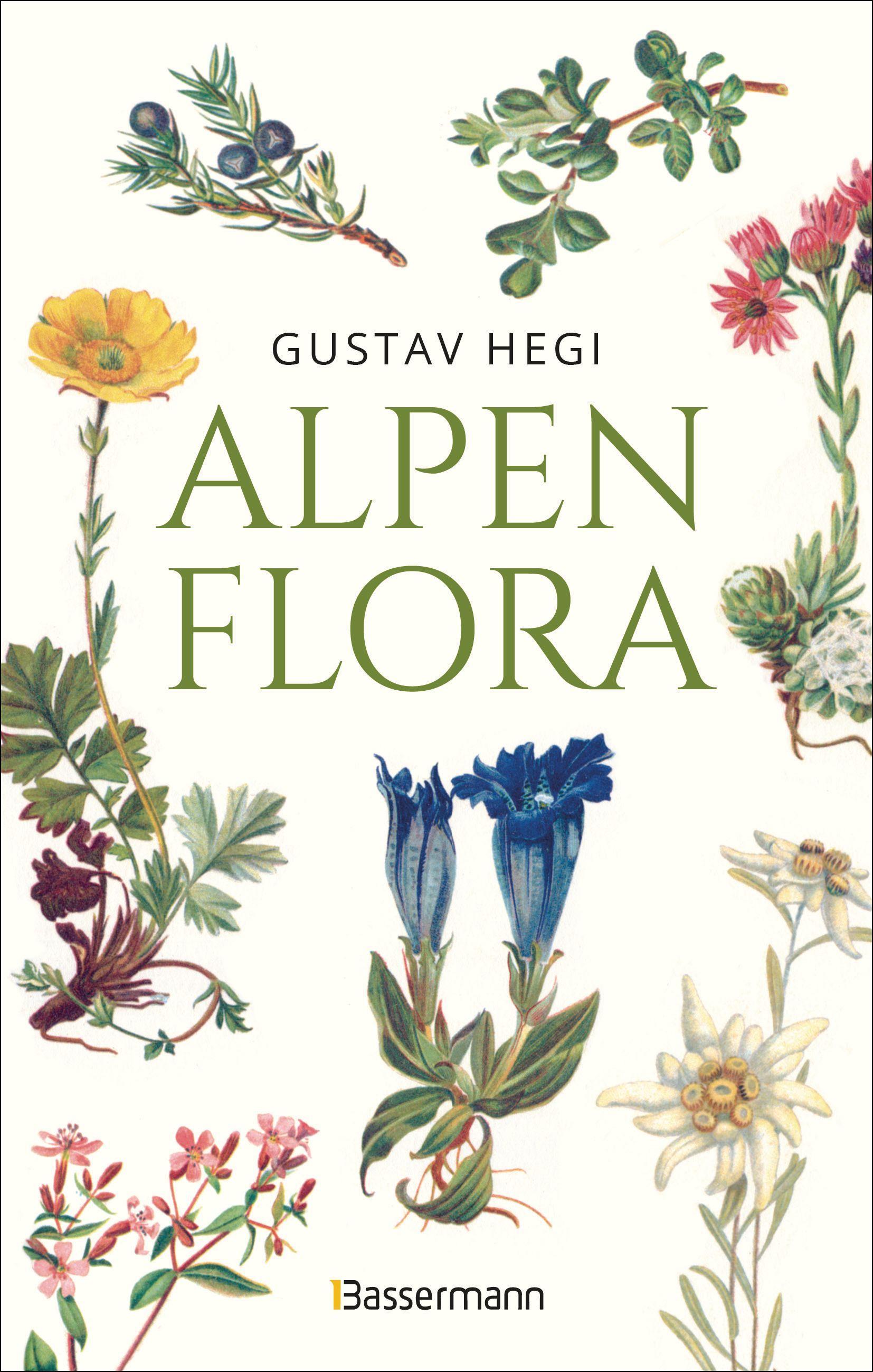 Vorderes Coverbild Alpenflora - der erste umfassende Naturführer der alpinen Pflanzenwelt. Über 260 detaillierte, handgezeichnete Illustrationen und genaue Beschreibungen