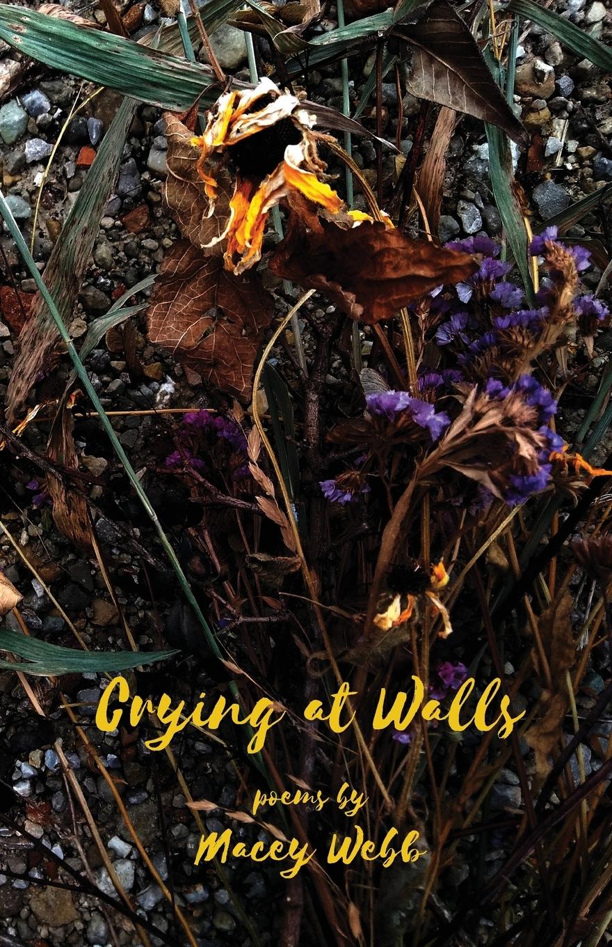 Vorderes Coverbild Crying at Walls