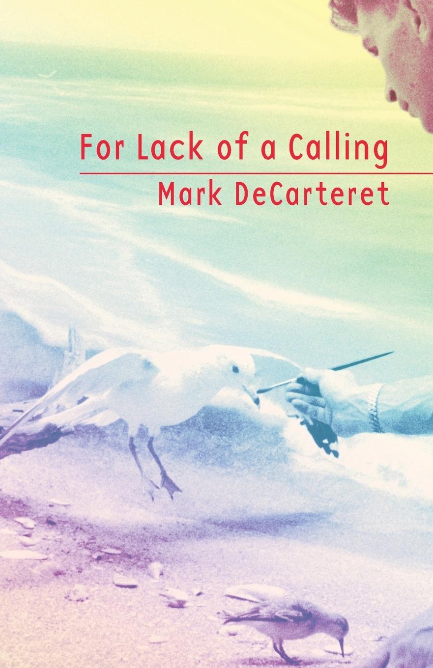 Vorderes Coverbild For Lack of a Calling