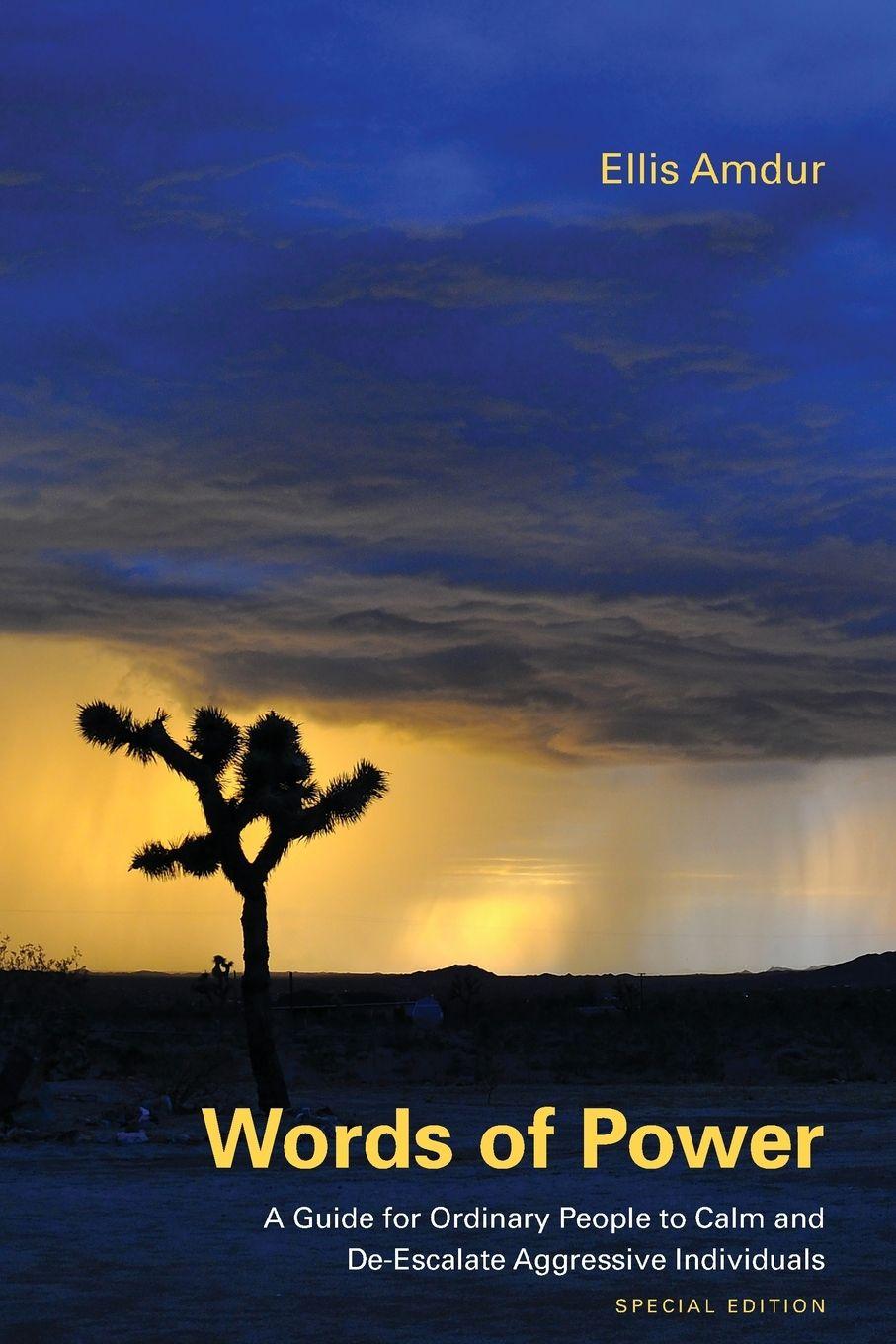 Vorderes Coverbild Words of Power