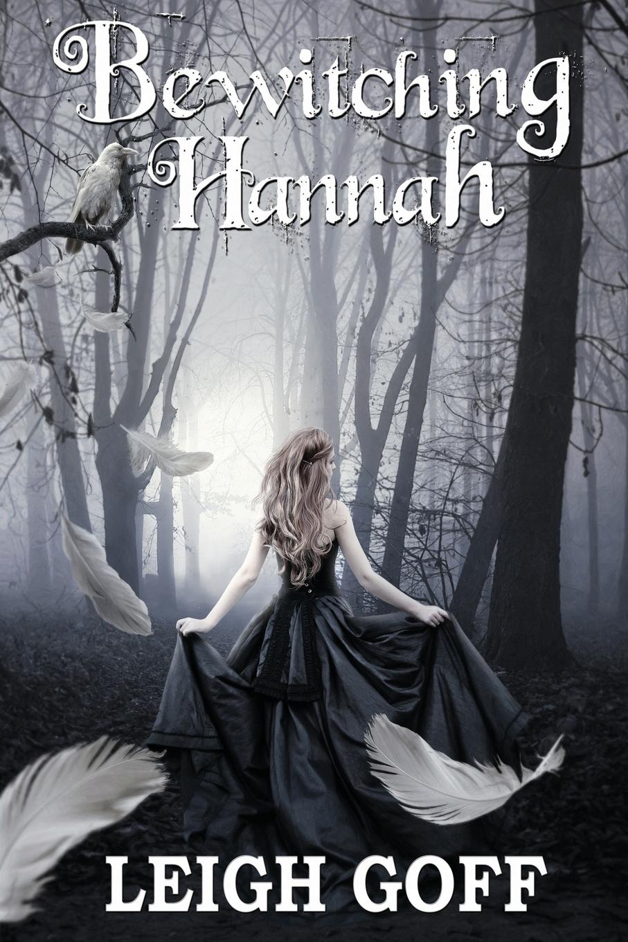 Vorderes Coverbild Bewitching Hannah