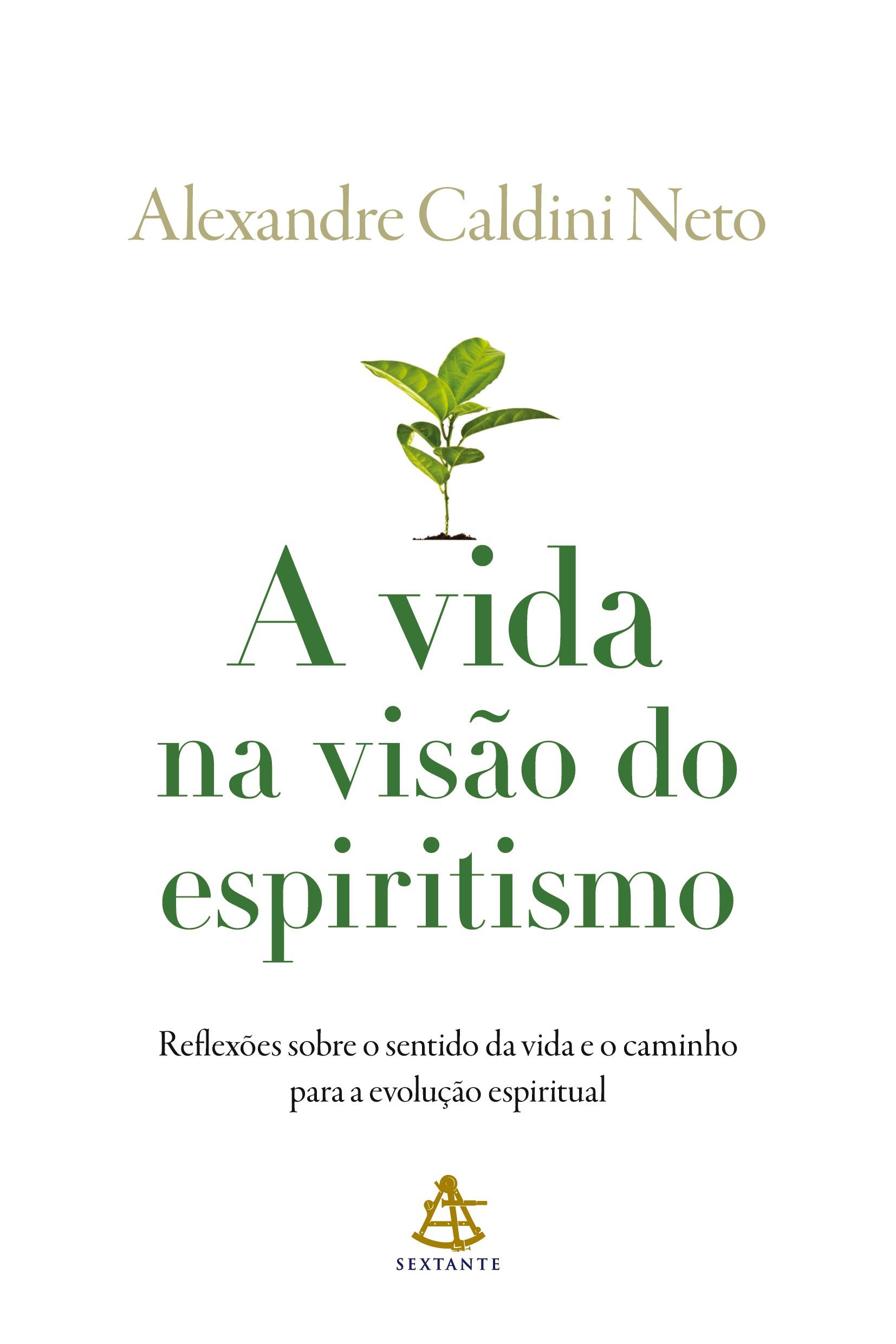 Vorderes Coverbild A vida na visão do espiritismo