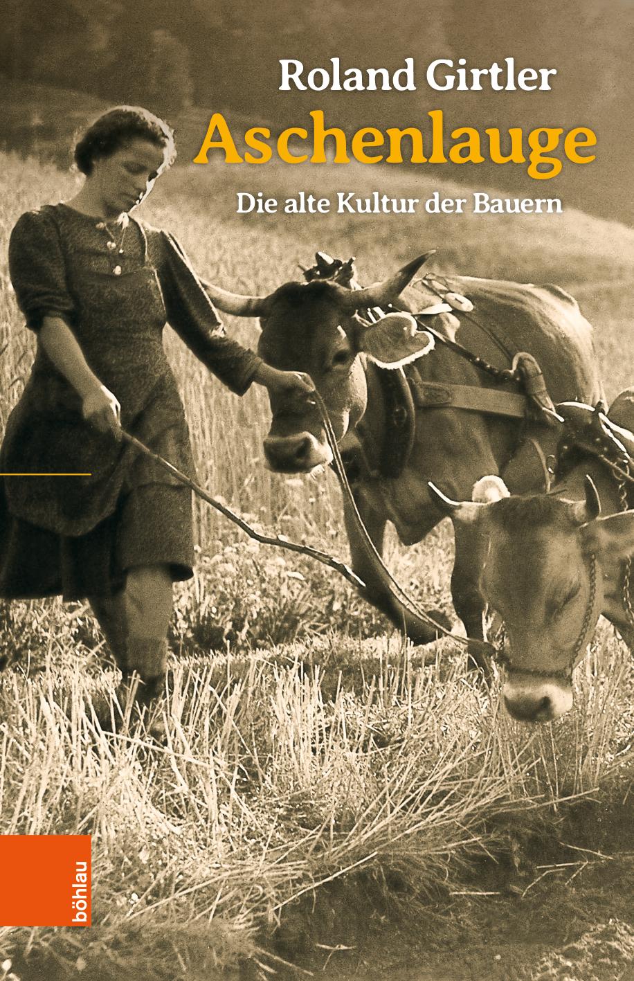 Vorderes Coverbild Aschenlauge
