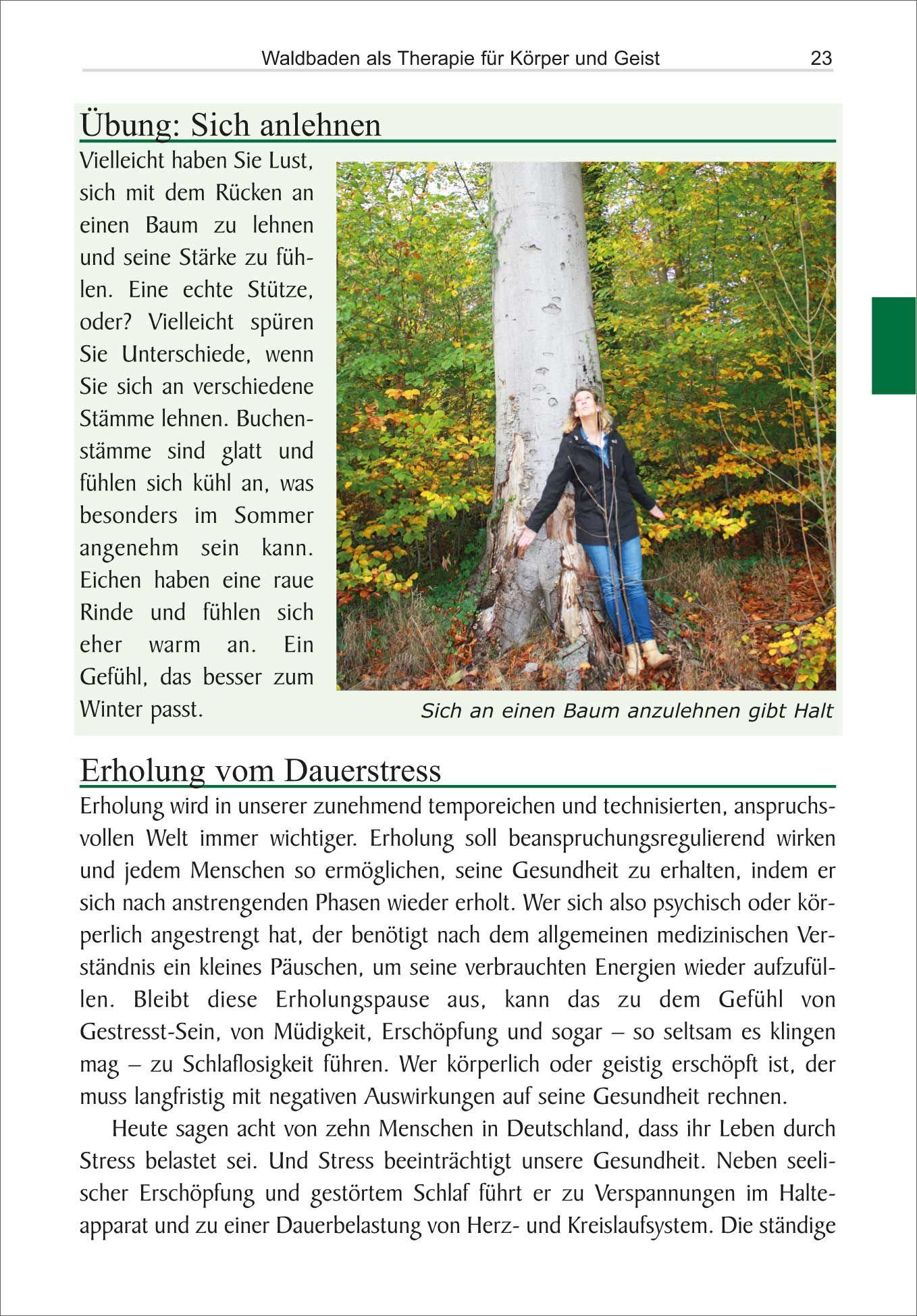 Beispielinhalt (Bild) Waldbaden
