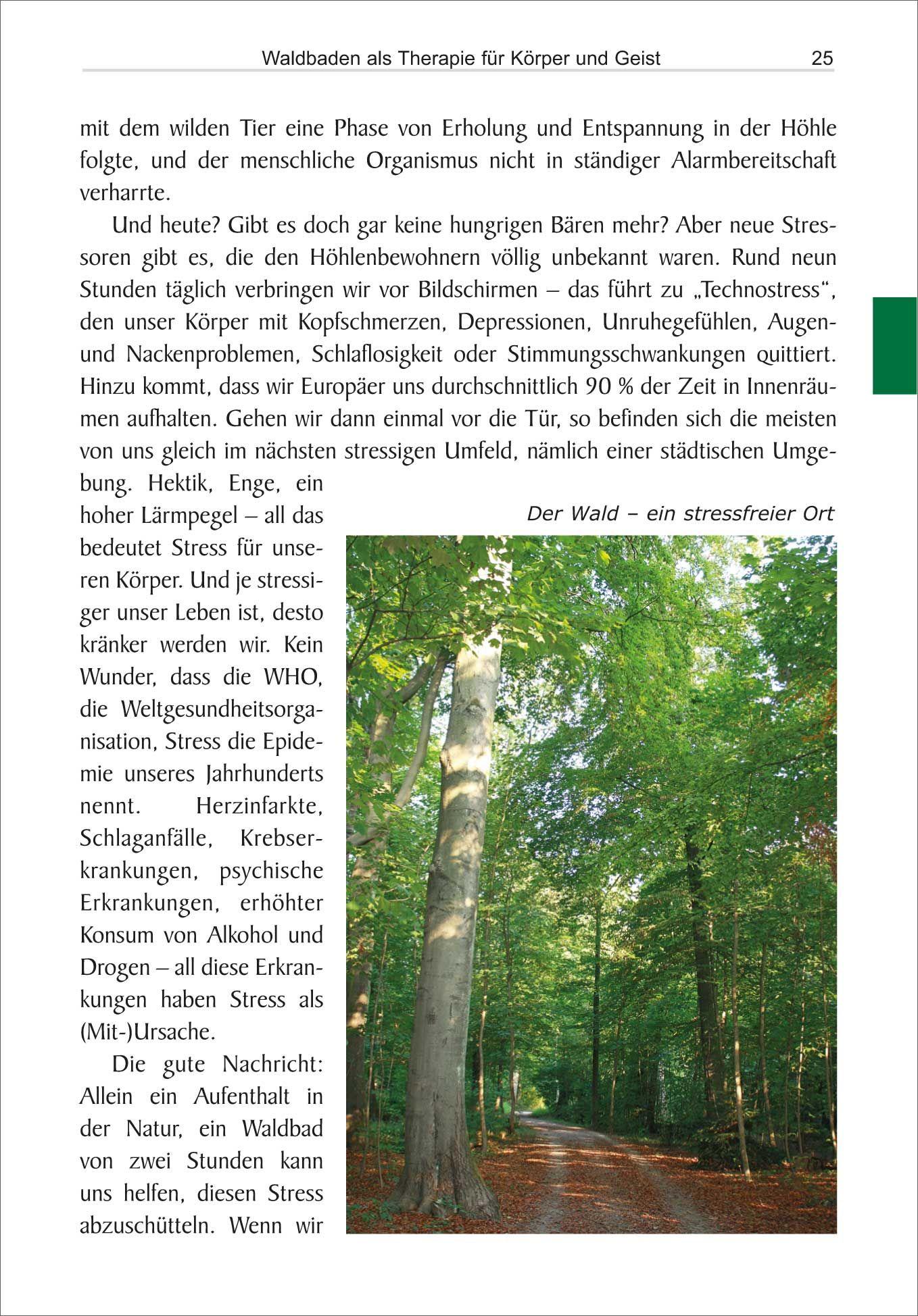 Beispielinhalt (Bild) Waldbaden
