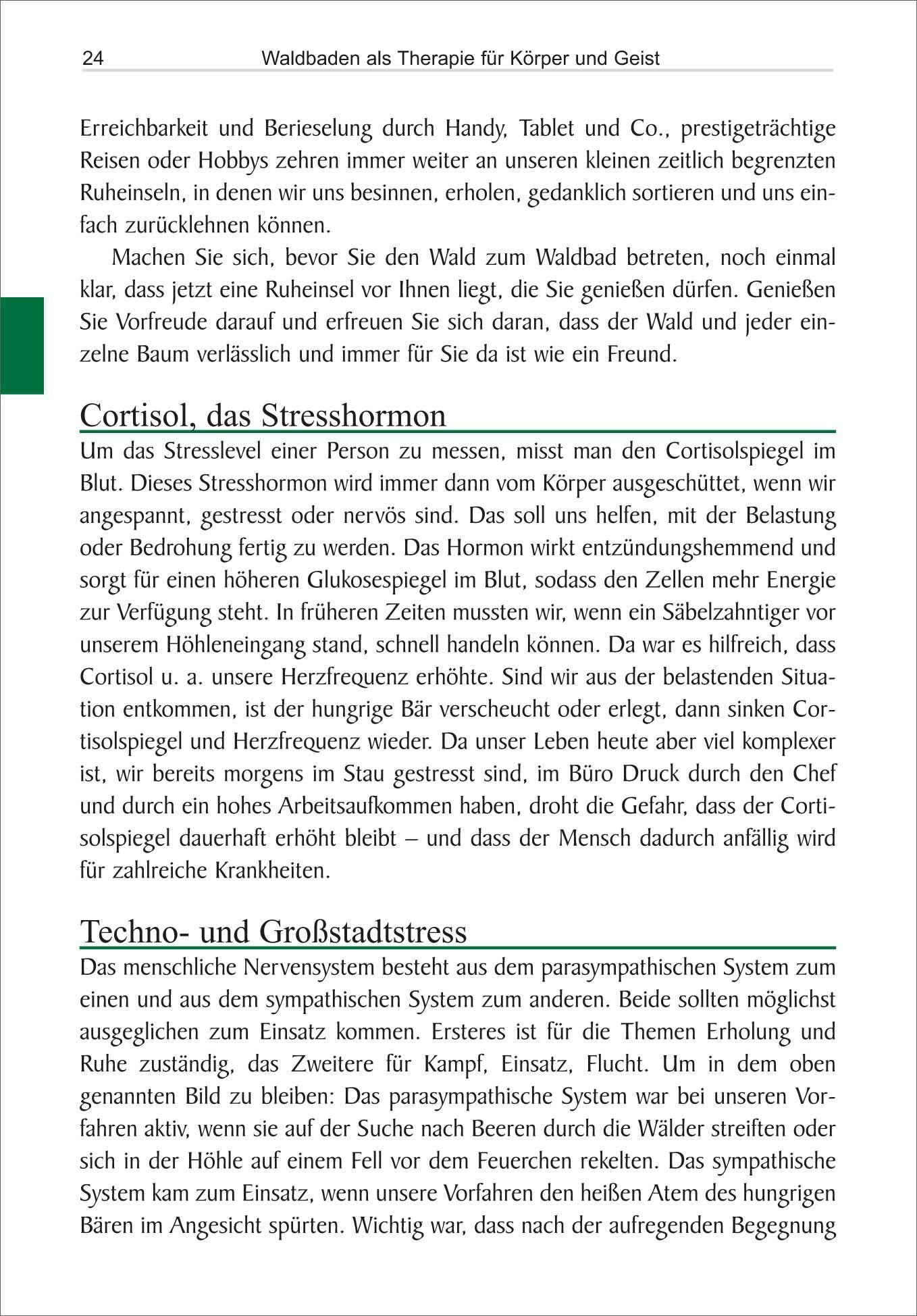 Beispielinhalt (Bild) Waldbaden