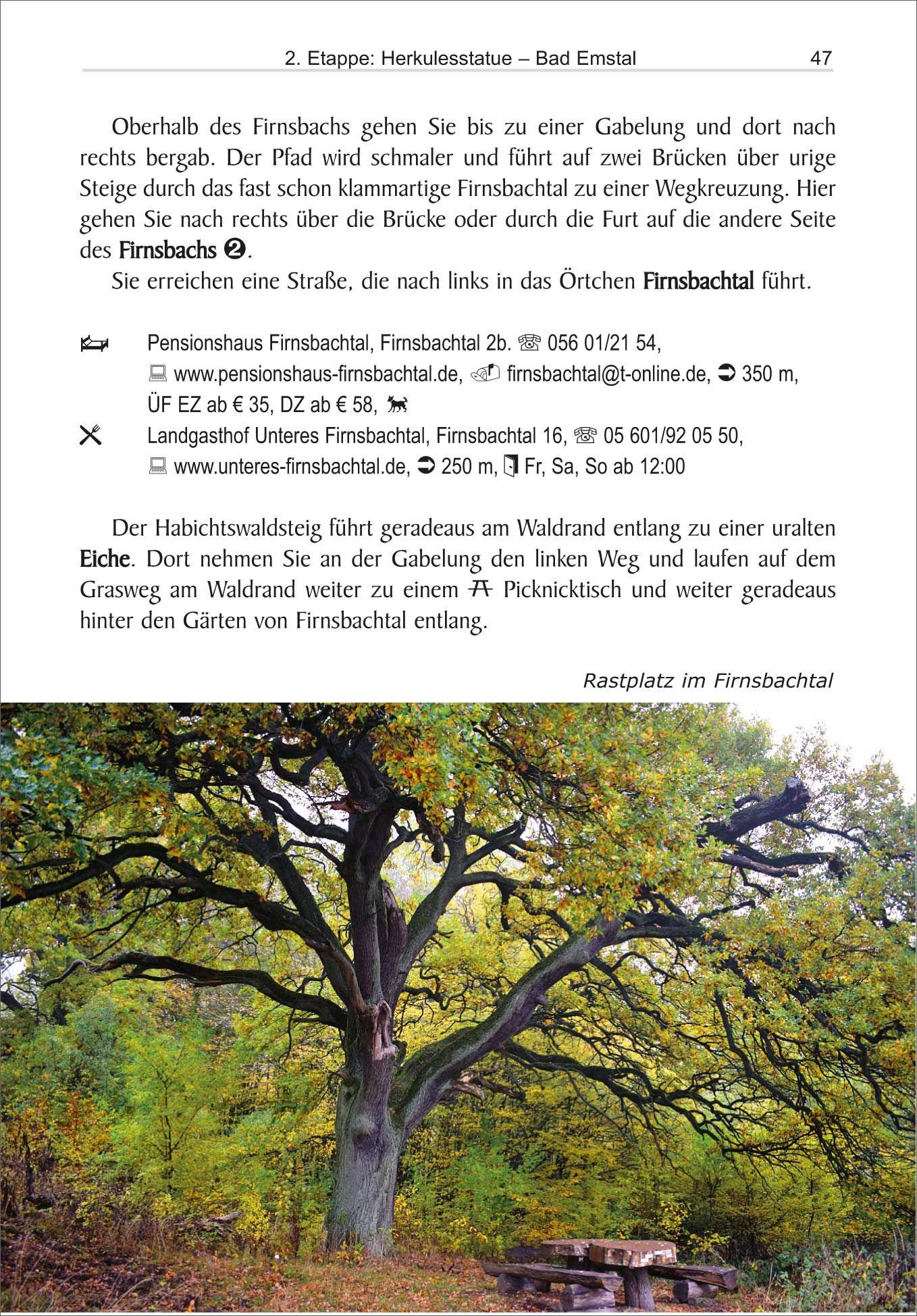 Beispielinhalt (Bild) Habichtswaldsteig