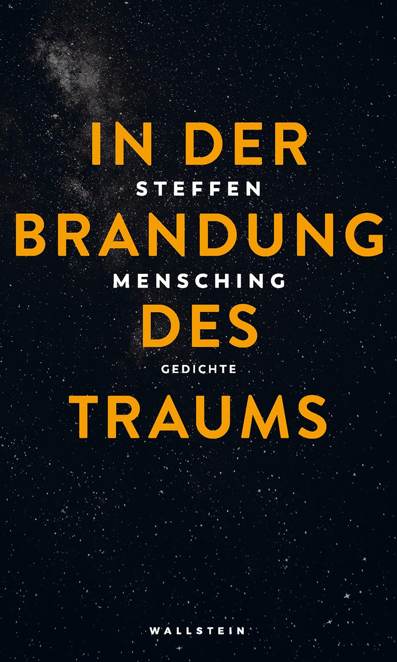 Vorderes Coverbild In der Brandung des Traums