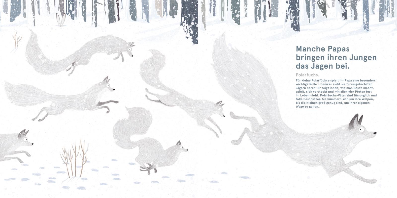 Beispielinhalt (Bild) Wilde Papas