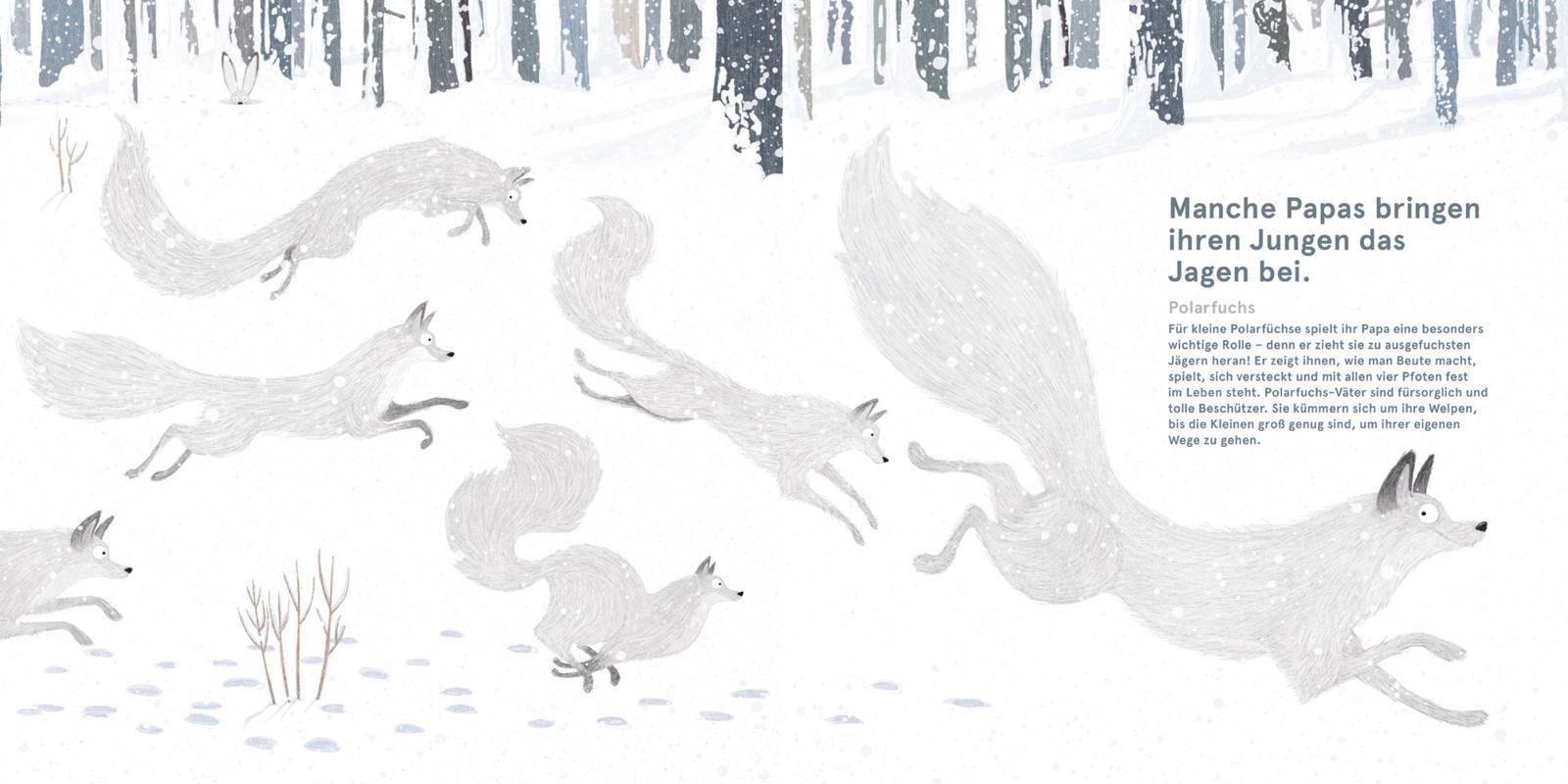 Beispielinhalt (Bild) Wilde Papas