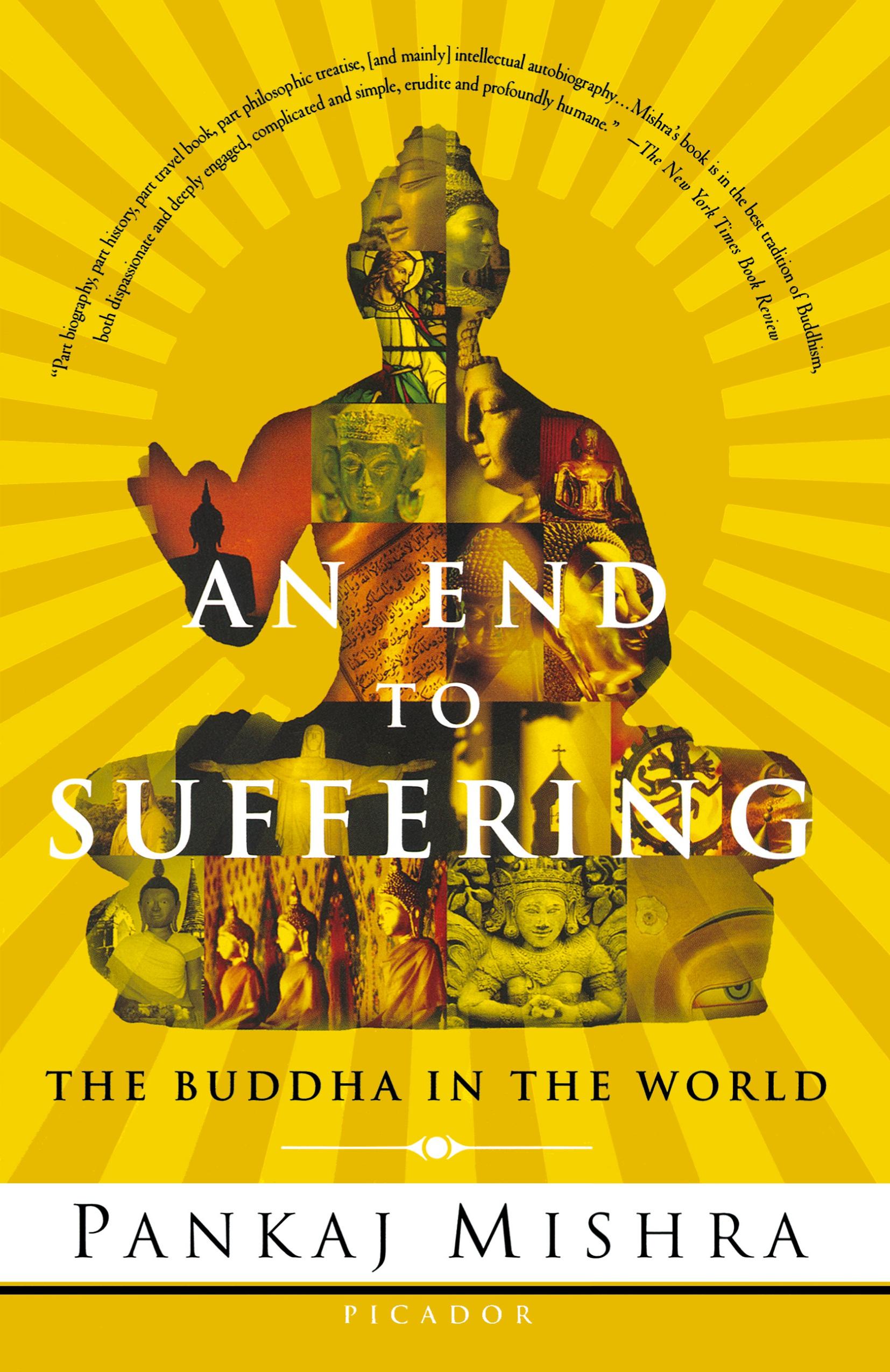 Vorderes Coverbild An End to Suffering