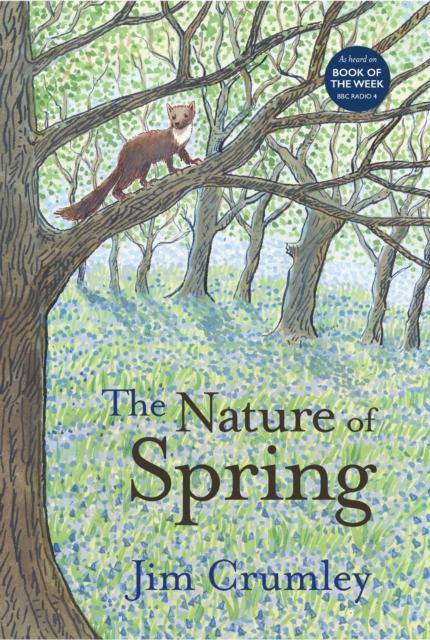 Vorderes Coverbild The Nature of Spring
