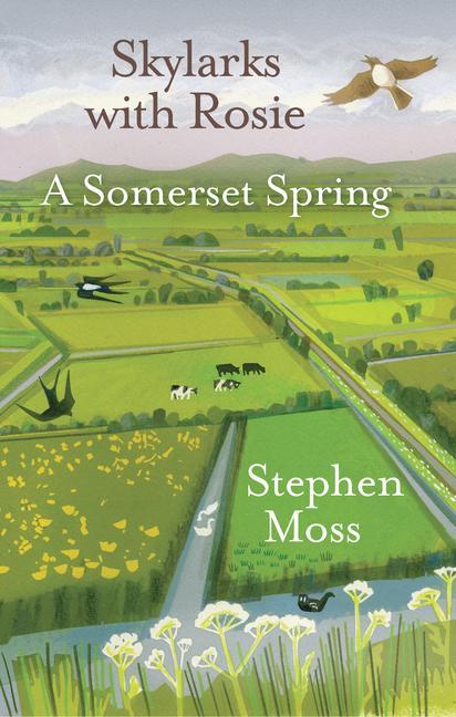 Vorderes Coverbild Skylarks with Rosie: A Somerset Spring