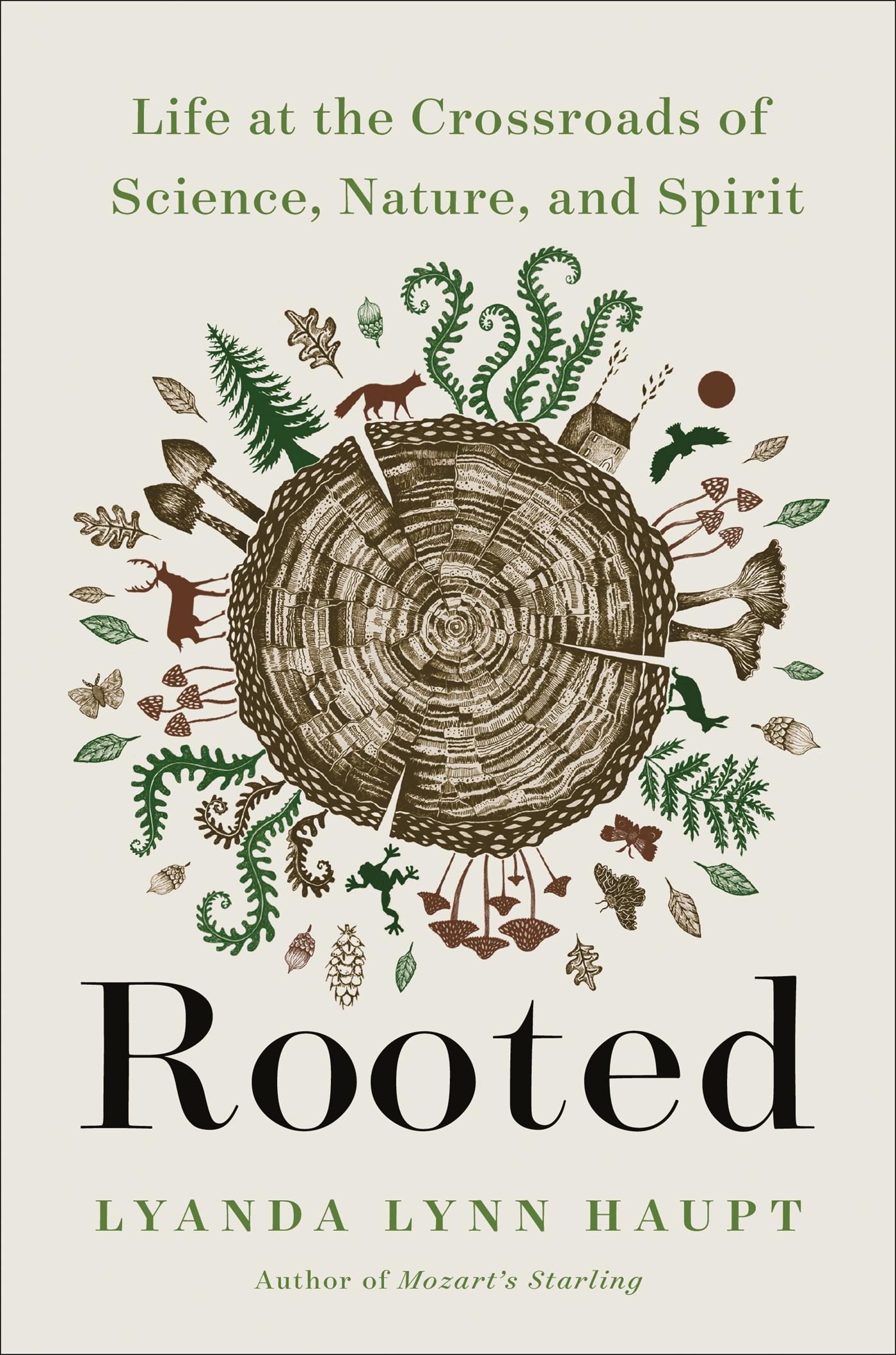 Vorderes Coverbild Rooted