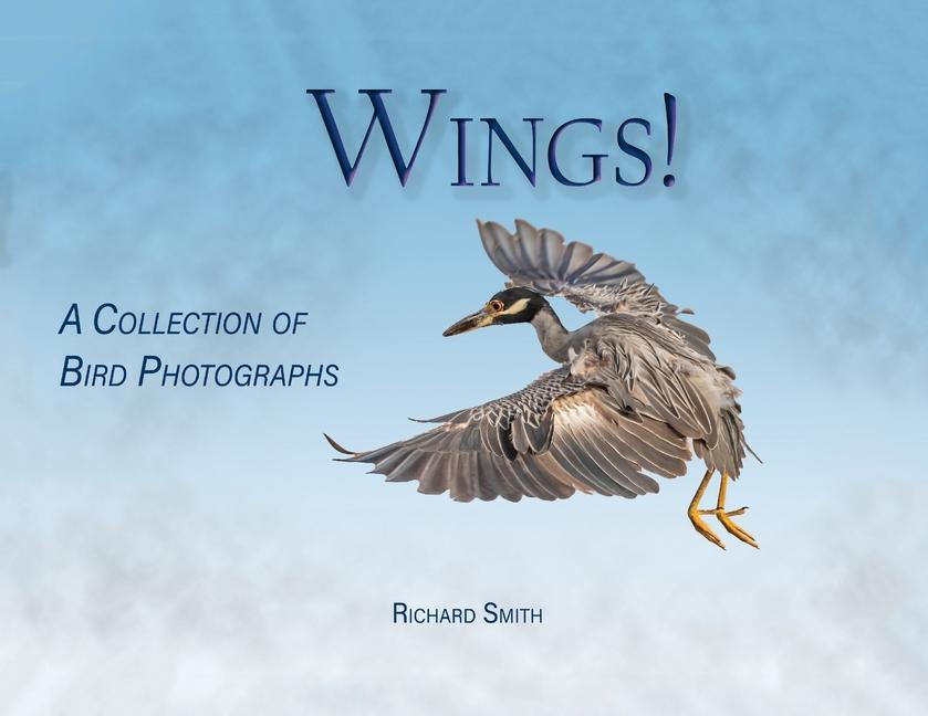 Vorderes Coverbild Wings!