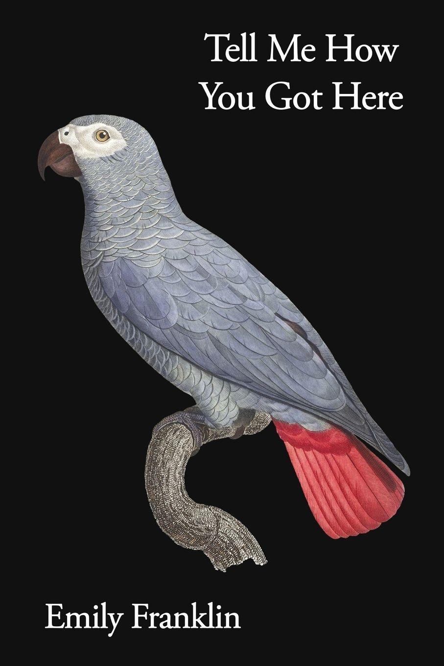 Vorderes Coverbild Tell Me How You Got Here