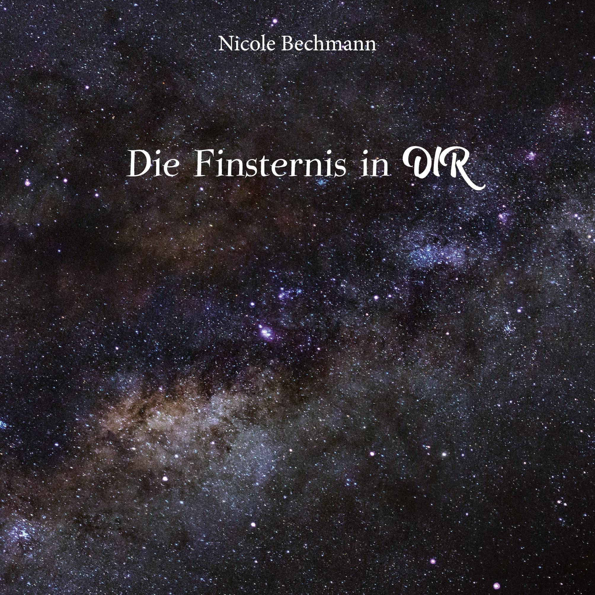 Vorderes Coverbild Die Finsternis in dir